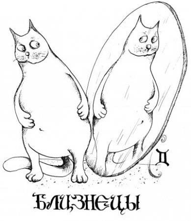 коты по знаку зодиака близнецы