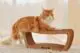 картонная когтеточка для кота мейн-куна фото