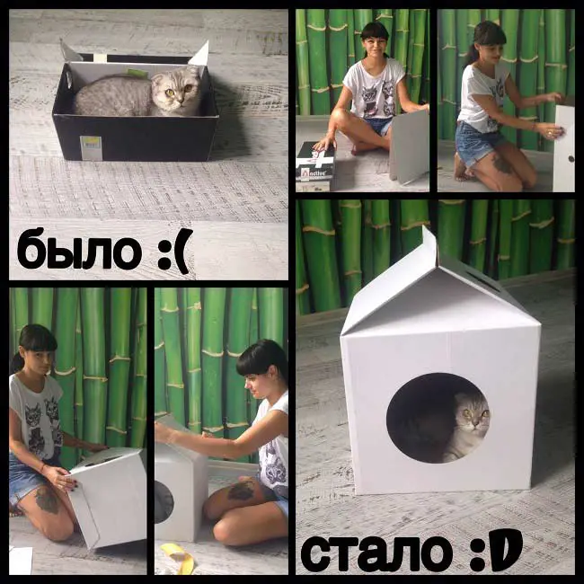 Домик для кошки MilkBox (Котофабрика): отзывы, фото, видео, сборка