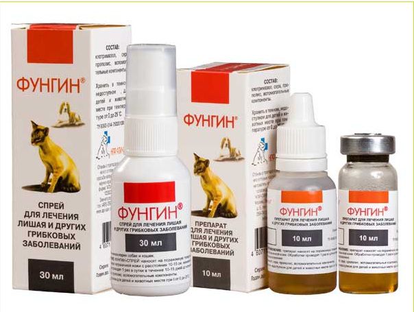 Фунгин для кошек: отзывы, инструкция по применению,противопоказания