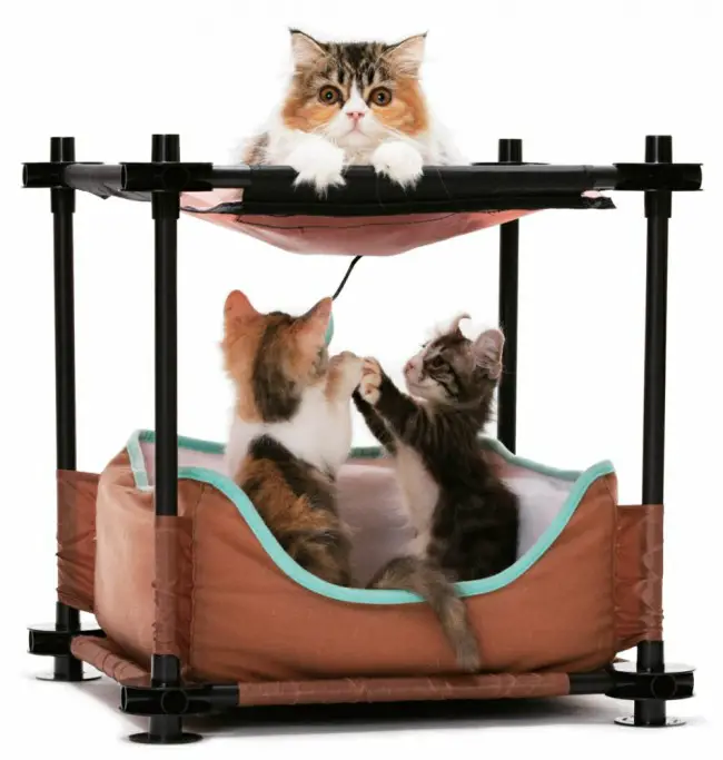 Лежаки для кошек: ТОП 8 товаров [рейтинг, цены, отзывы]