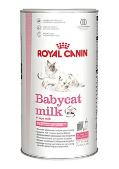 искусственное молоко для котят роял канин