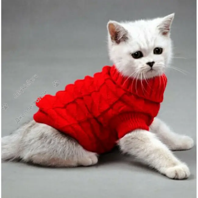 трикотажный свитер для кошки